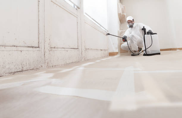 24/7 Emergency Mold Inspection experts in Barrington, IL